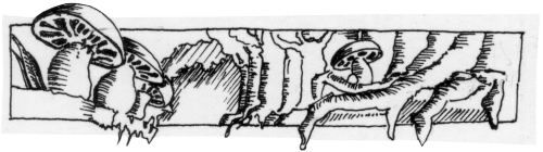 traumland_03